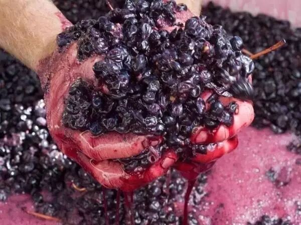 单宁款是什么意思_单宁是什么意思_干红单宁是什么意思