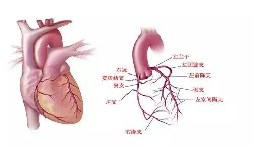 冠脉造影对身体有害吗?