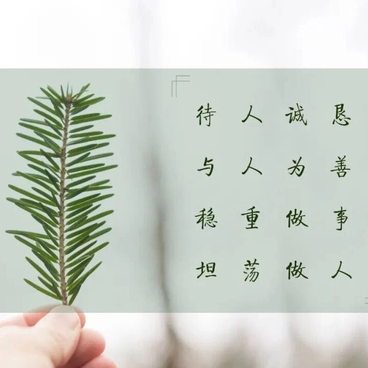 关于断念的几个的疑惑和误区