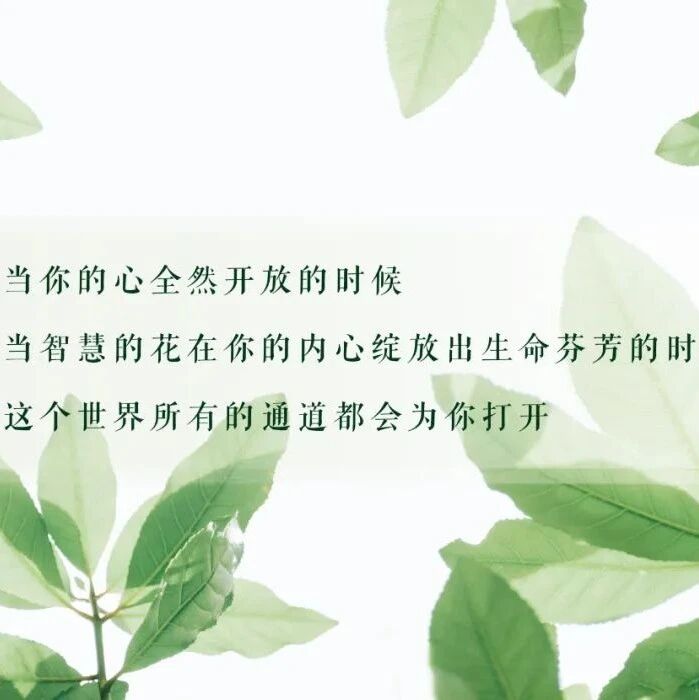 一名在校大学生的泣血告诫