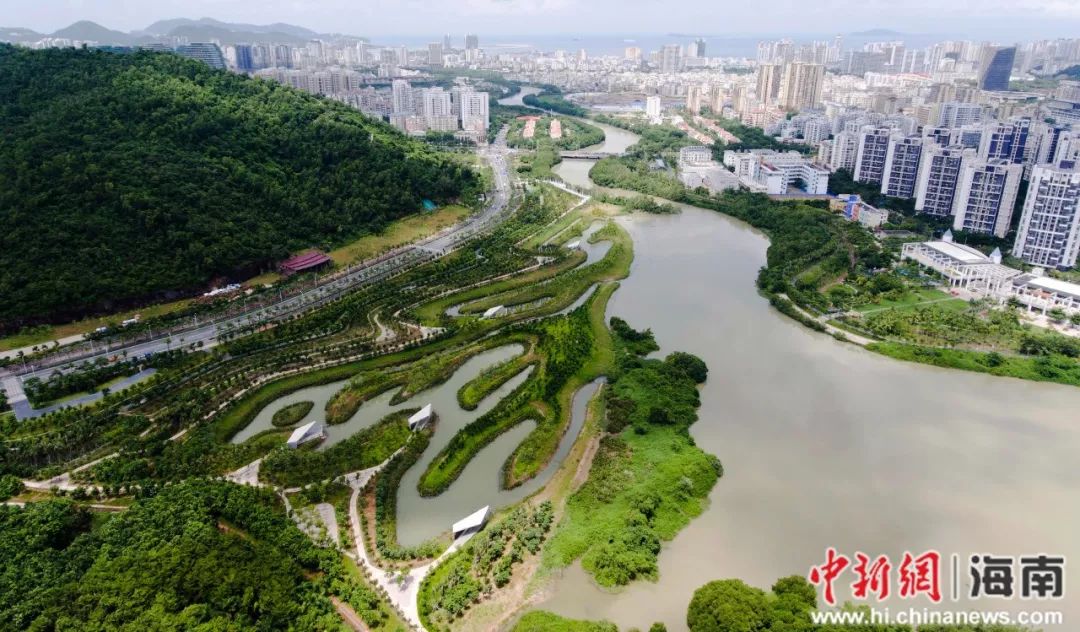 资料图:三亚叫停大型房地产项目后建成的三亚春光路红树林生态公园.