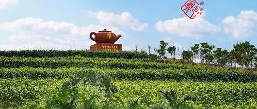 2019年度全省休闲农业与乡村旅游示范镇示范点名单公布，廉江这两个地方上榜了！