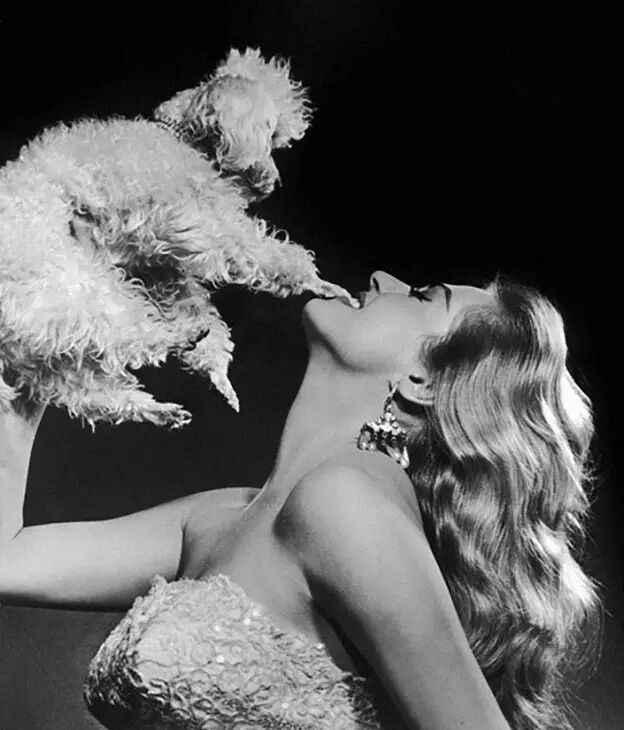 拍摄灵魂的大师 | 尤素福·卡什