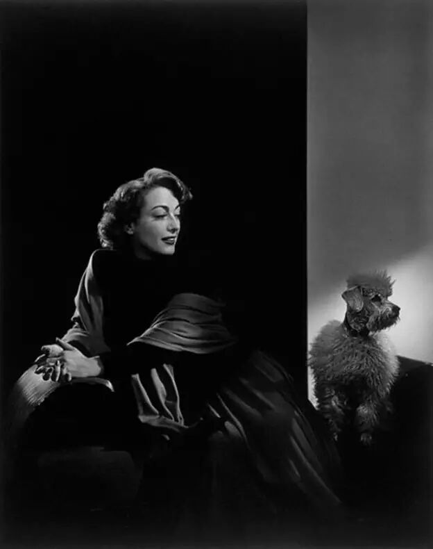 拍摄灵魂的大师 | 尤素福·卡什