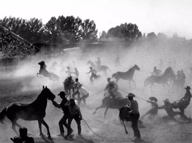 拍摄灵魂的大师 | 尤素福·卡什