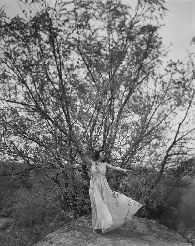 拍摄灵魂的大师 | 尤素福·卡什