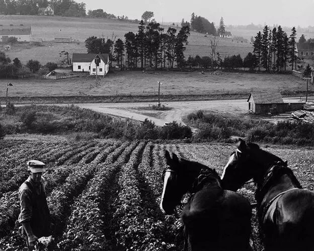 拍摄灵魂的大师 | 尤素福·卡什