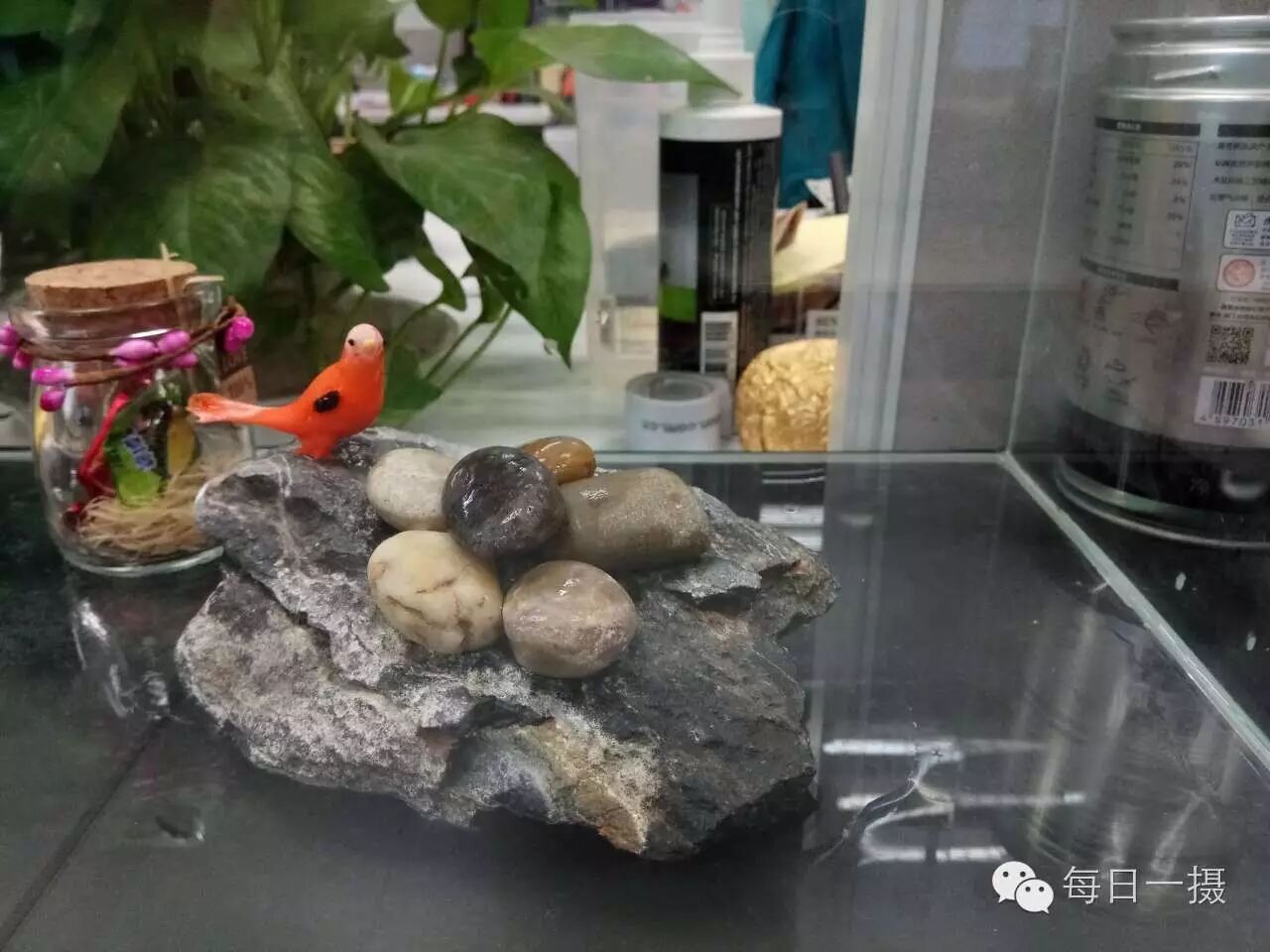 简单水草缸一周快速开缸分享第3张-好摄之途