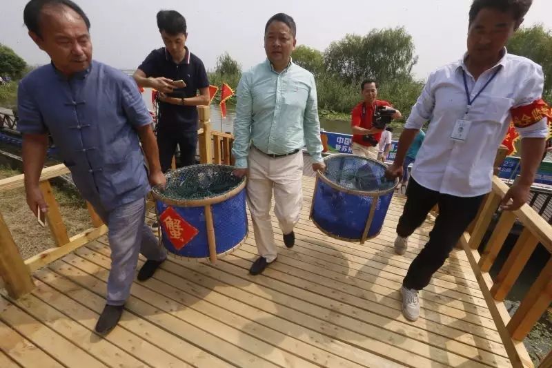 沈阳阳澄湖大闸蟹专卖_成都阳澄湖大闸蟹专卖店_阳澄湖大闸蟹香港专卖