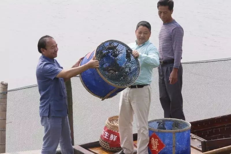 阳澄湖大闸蟹香港专卖_成都阳澄湖大闸蟹专卖店_沈阳阳澄湖大闸蟹专卖