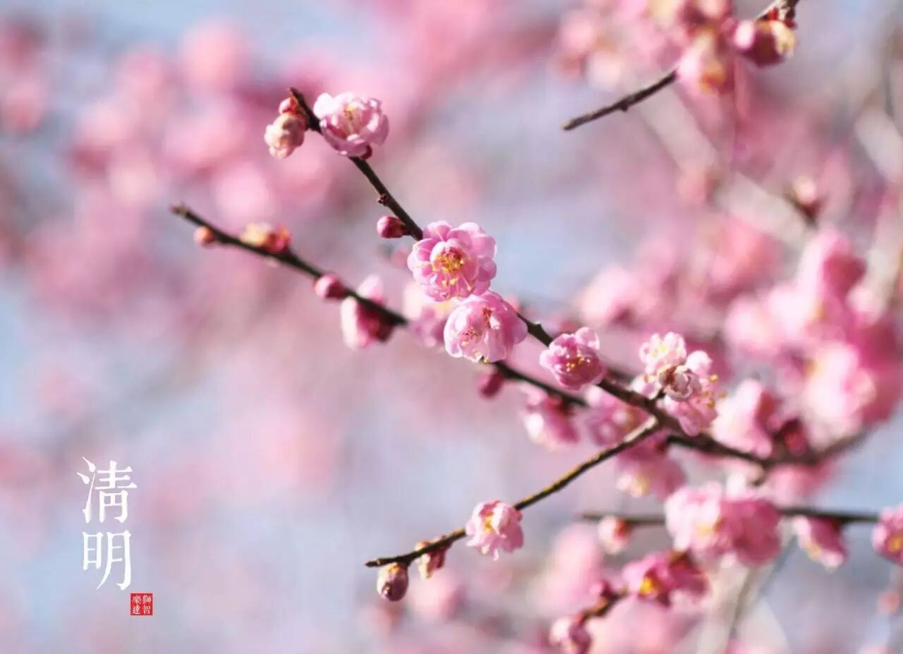 淘高考 | 重磅！2016在福建招生的本一批院校最全排名！干货不容错过！