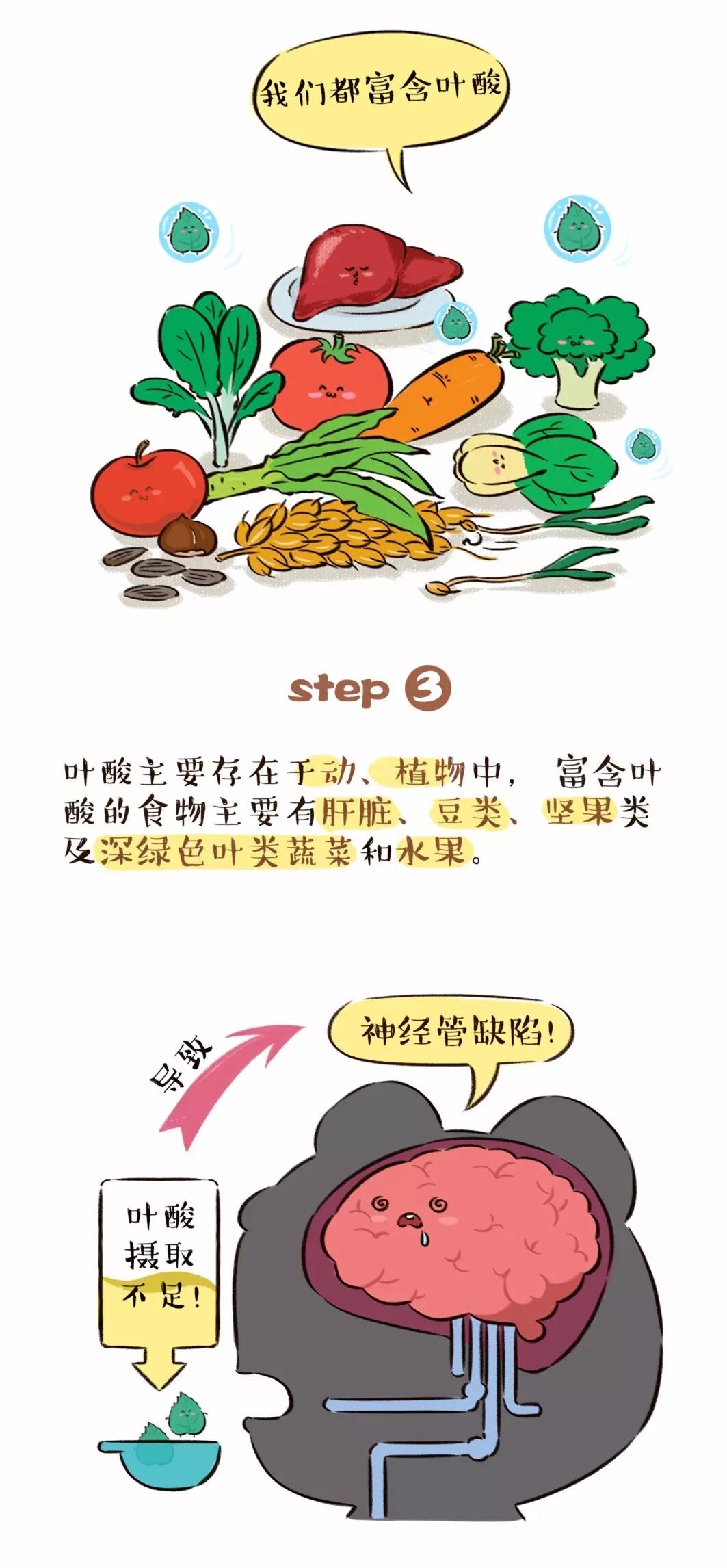 准备怀孕,叶酸你吃对了吗?-怀孕期