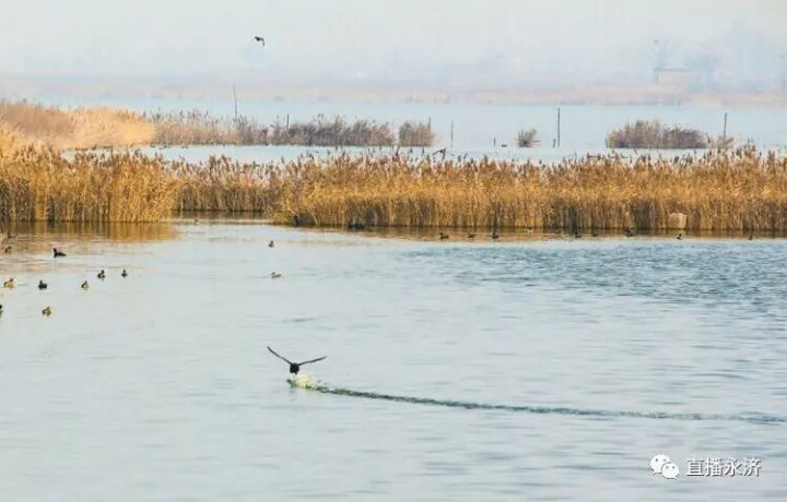 涑水河流经闻喜夏县临猗至永济伍姓湖196公里