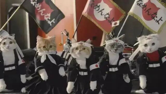 日本黑社会拒领政府抗疫补助金