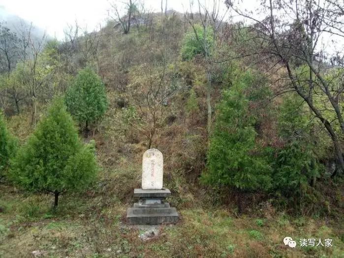 西沟门的那座孤坟在毛毛细雨中静静守候,多少个秋冬春夏依然护佑着这