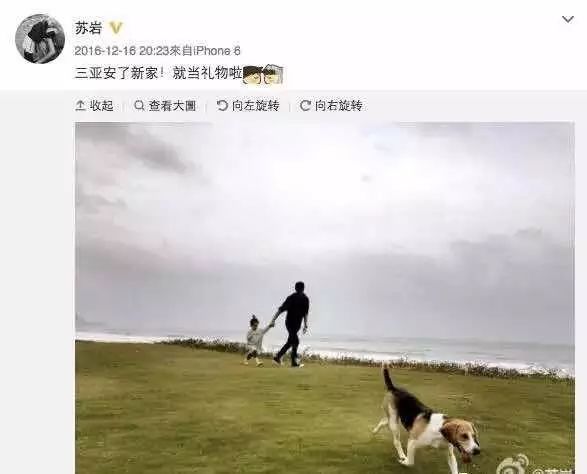 罗嘉良离婚_罗嘉良是什么时候离婚_罗嘉良专访离婚