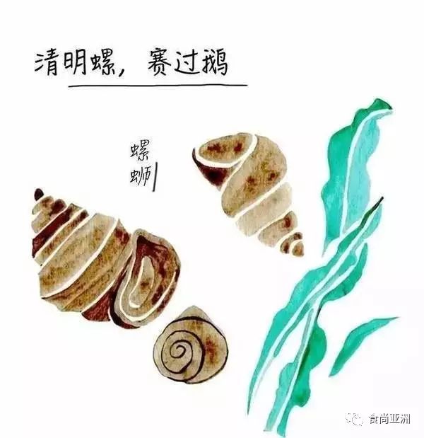 清明螺,肥似鹅,扒一扒螺蛳粉中的"背后功臣"——螺蛳