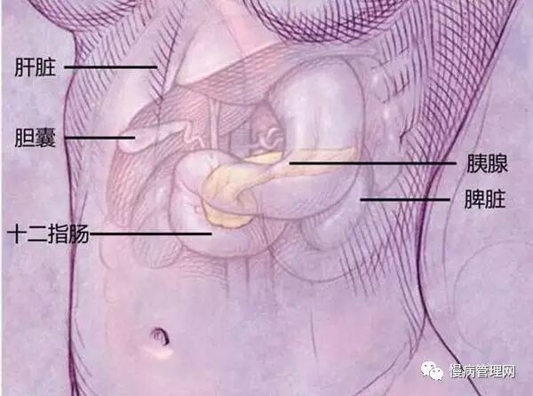 胰腺癌：“你可能得了假的糖尿病……”