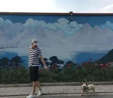 户外遛狗的日常画面，呼应居住舒适度与宠物友好动线需求