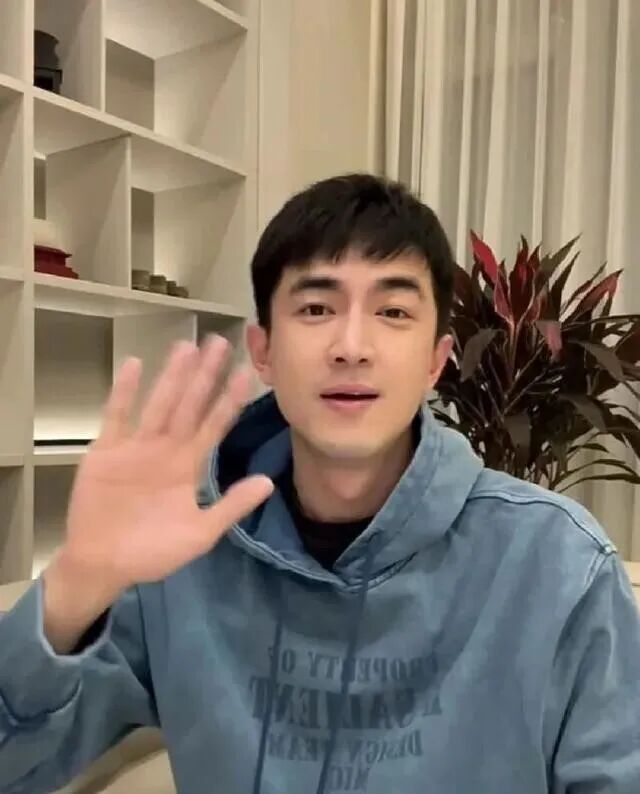 客厅背景的开放格架与植物摆件，体现居家氛围与收纳展示结合