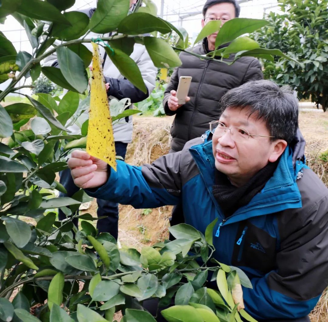 衢州市柯城区航埠镇何双蓬村