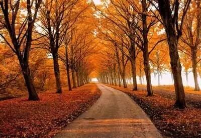 新年祝词：每一个不曾起舞的日子，都是对生命的辜负。