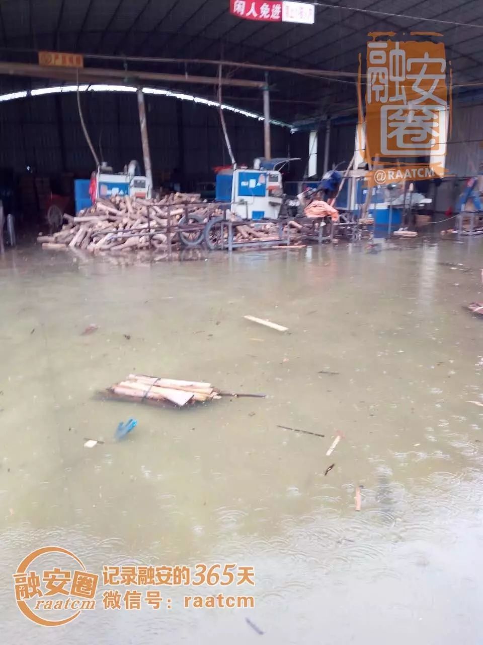 融安一场大雨把木材厂变成了游泳池,再不停雨机务段成海了