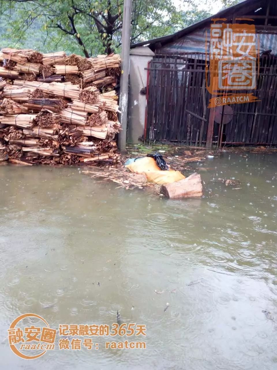 融安一场大雨把木材厂变成了游泳池,再不停雨机务段成海了