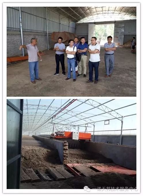 携手奋,参观我盐城市步凤镇考察领导奋斗奋墙纸底部效益化生态苹果粪便图片