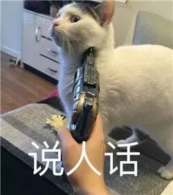 自从有了这套六亲不认的表情包,跟女友吵架我再没输过