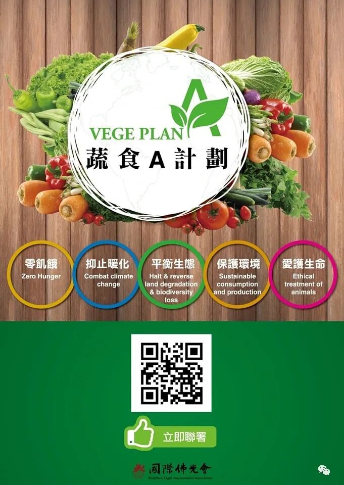 各国美味素食任你选，快乐缔造舌尖上的记忆（组图） - 10