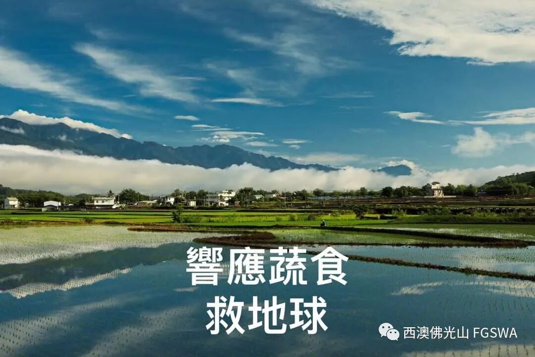 快！一起来拯救地球（组图） - 14