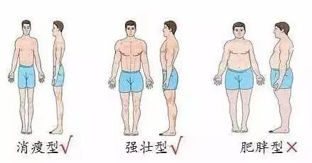 增肌粉哪个品牌好_哪个品牌的增肌粉效果更好_口碑好的增肌粉品牌