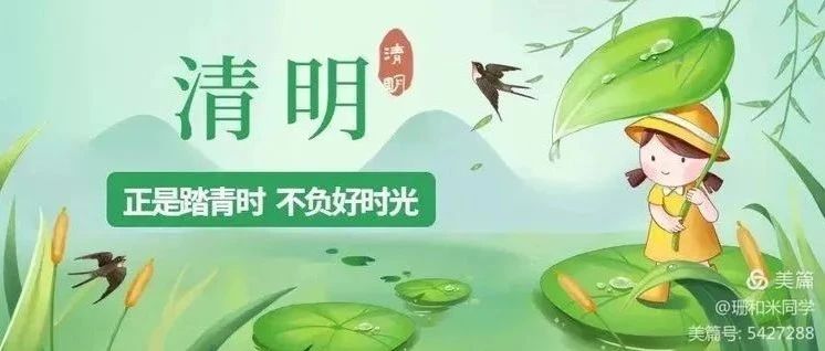 春雨润心,清明寄情:奎文区幸福街小学四(3)中队走进清明感受传统文化