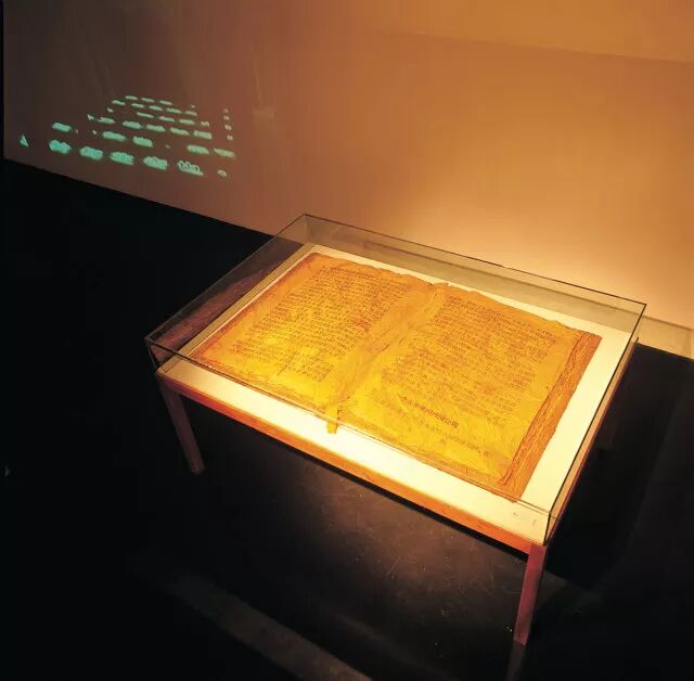 烟草花简笔画_烟草花简笔画步骤_笔画烟草简花图片