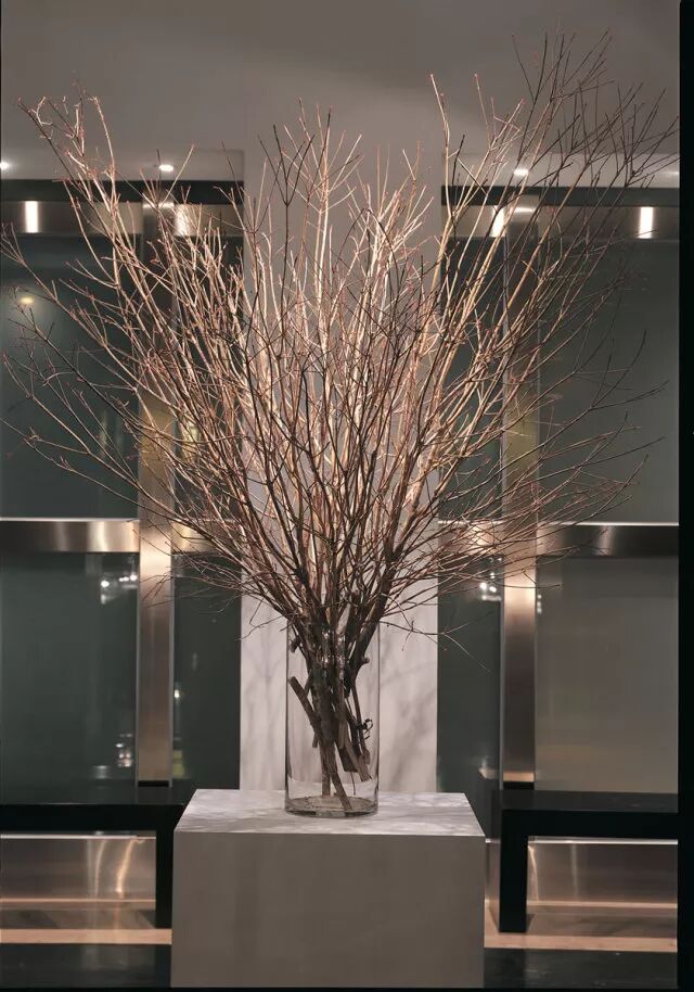 烟草花简笔画_烟草花简笔画步骤_笔画烟草简花图片