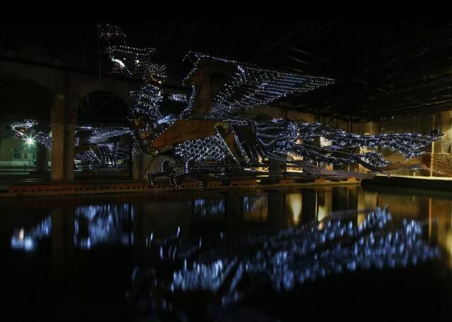 烟草花简笔画步骤_笔画烟草简花图片_烟草花简笔画