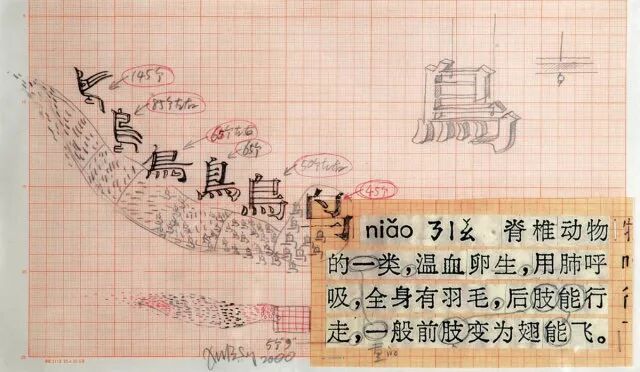 烟草花简笔画_笔画烟草简花图片_烟草花简笔画步骤