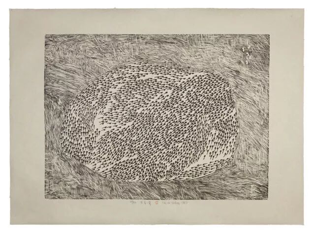 笔画烟草简花图片_烟草花简笔画步骤_烟草花简笔画