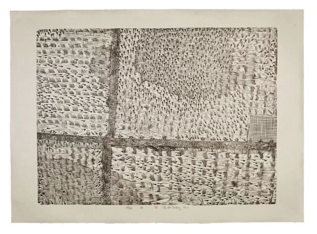 笔画烟草简花图片_烟草花简笔画步骤_烟草花简笔画