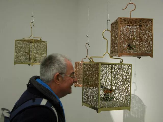 烟草花简笔画步骤_烟草花简笔画_笔画烟草简花图片