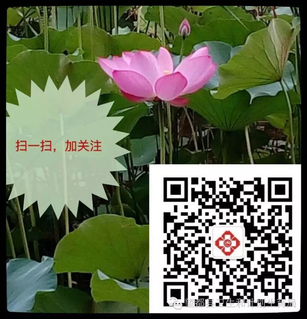 热烈庆祝保定地区第一家不孕不育诊疗基地 落户望都妇幼保健计划生育服务中心-怀孕期