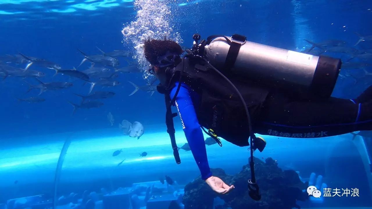 项目名称:padi体验潜水(discover scuba diving 项目说明:当你第一次