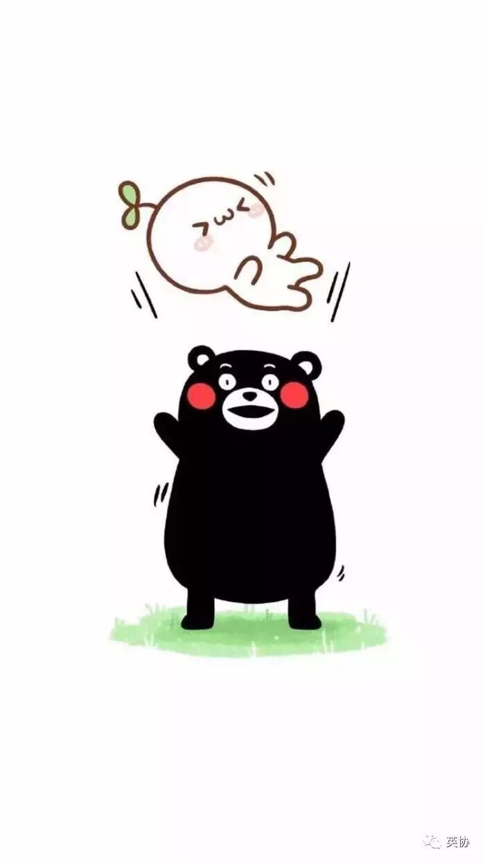 真的是给跪了!!!