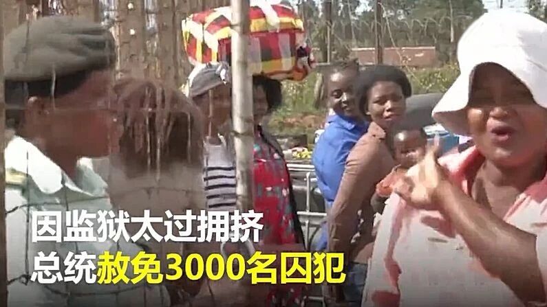 因监狱太拥挤,津巴布韦赦免3000囚犯!| 冷兔小报 No. 151