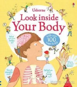 usborne look inside your body