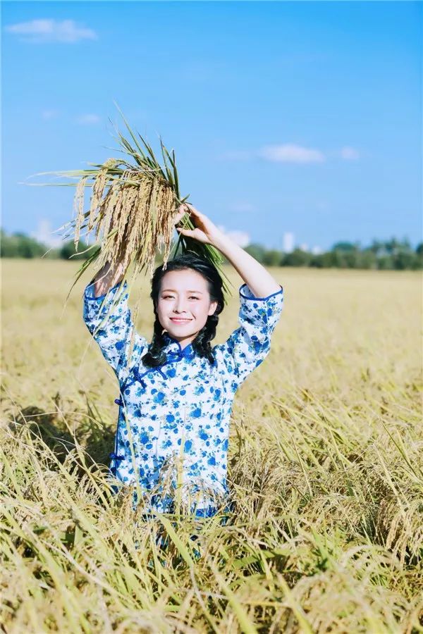 非彤范响-泰安炒菜锅价格联盟