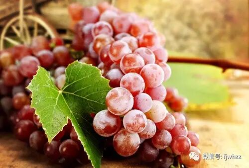 冬天不由自主重口味，12种素食帮你刮油排毒