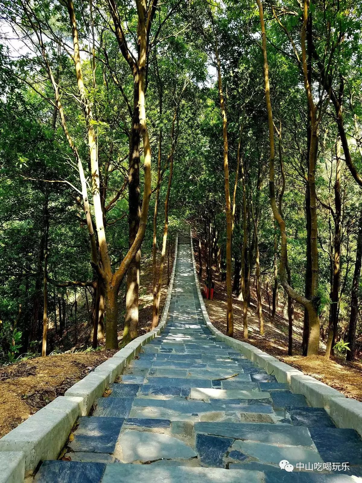 中山市首个森林公园--田心森林公园,位于五桂山主峰脚下