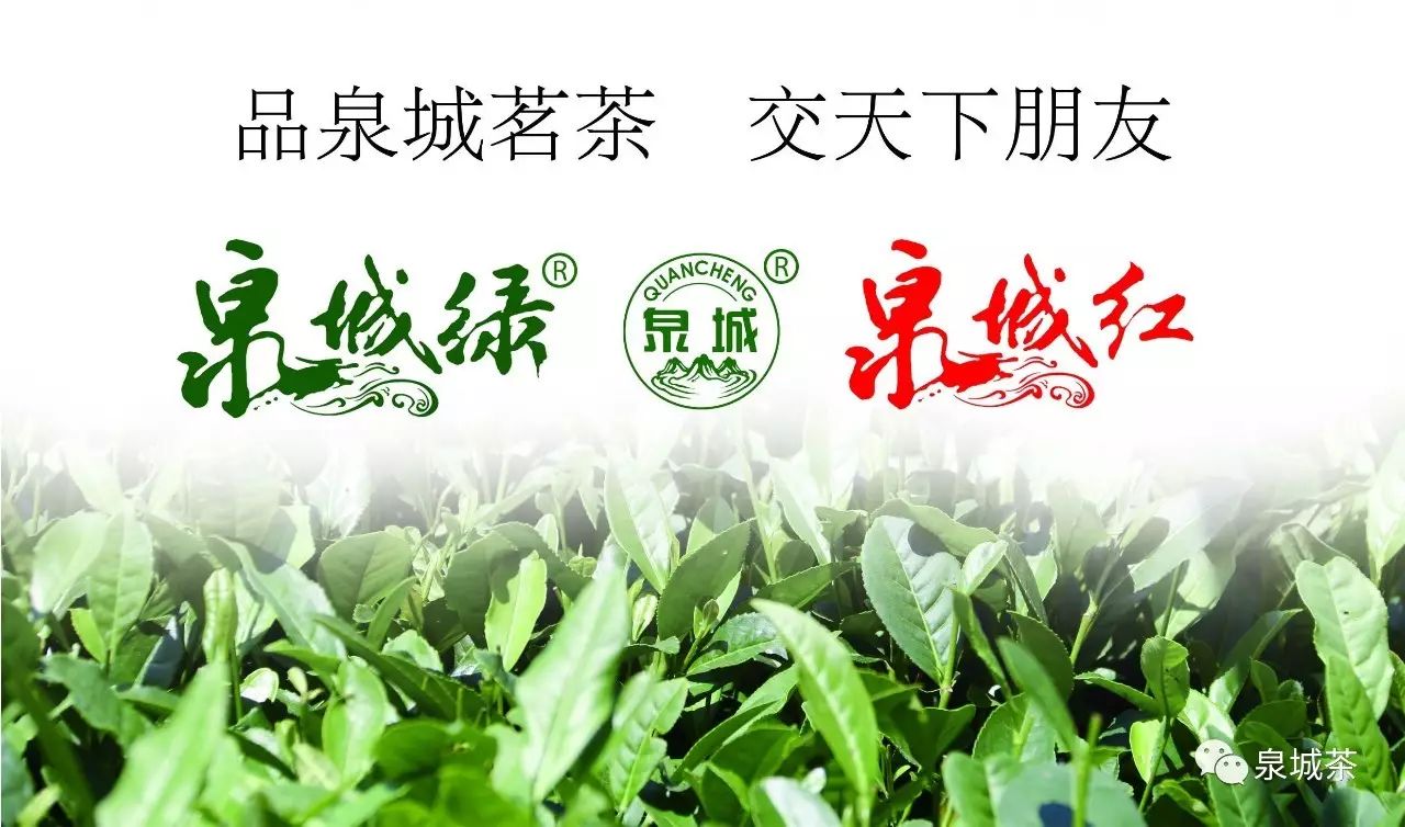 济南南湖玉露茶叶科技开发有限公司